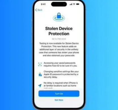 庄浪苹果授权维修店分享被盗设备保护功能开启方法 