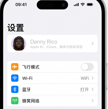 庄浪appleID维修服务iPhone设置中Apple ID显示为灰色无法使用 