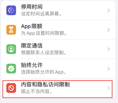 庄浪appleID维修服务iPhone设置中Apple ID显示为灰色无法使用