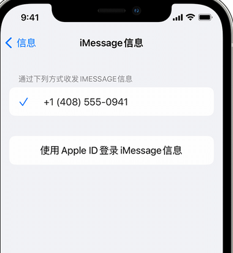 庄浪apple维修iPhone上无法正常发送iMessage信息 