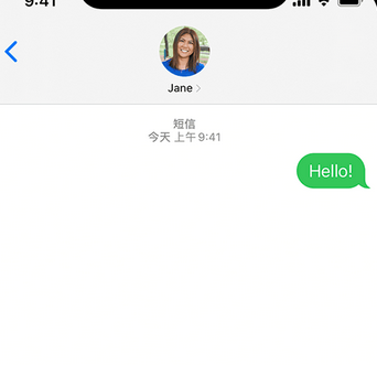 庄浪apple维修iPhone上无法正常发送iMessage信息