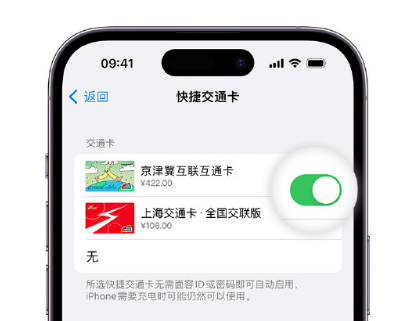 庄浪apple维修点分享iPhone上更换Apple Pay快捷交通卡手绘卡面 