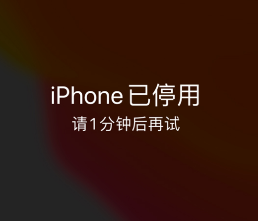 庄浪苹果手机维修分享:iPhone 显示“不可用”或“已停用”怎么办？还能保留数据吗？ 