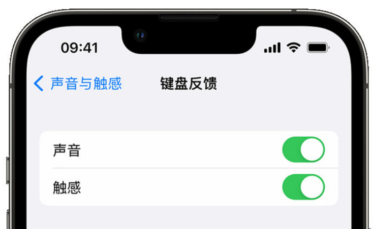 庄浪苹果手机维修分享iPhone 14触感键盘使用方法 