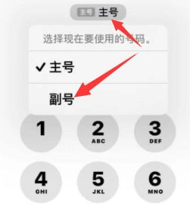 庄浪苹果14维修店分享iPhone 14 Pro Max使用副卡打电话的方法 