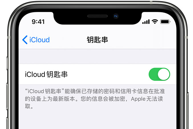 庄浪苹果手机维修分享在 iPhone 上开启 iCloud 钥匙串之后会储存哪些信息 