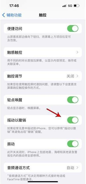 庄浪苹果手机维修分享iPhone手机如何设置摇一摇删除文字 