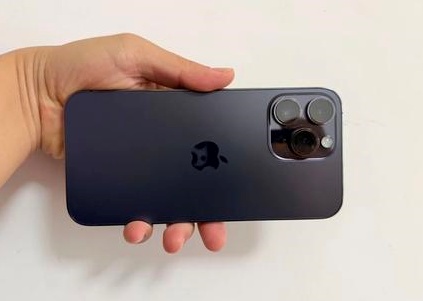 庄浪苹果维修点分享iPhone 14 Pro Max黑屏少见故障盘点 